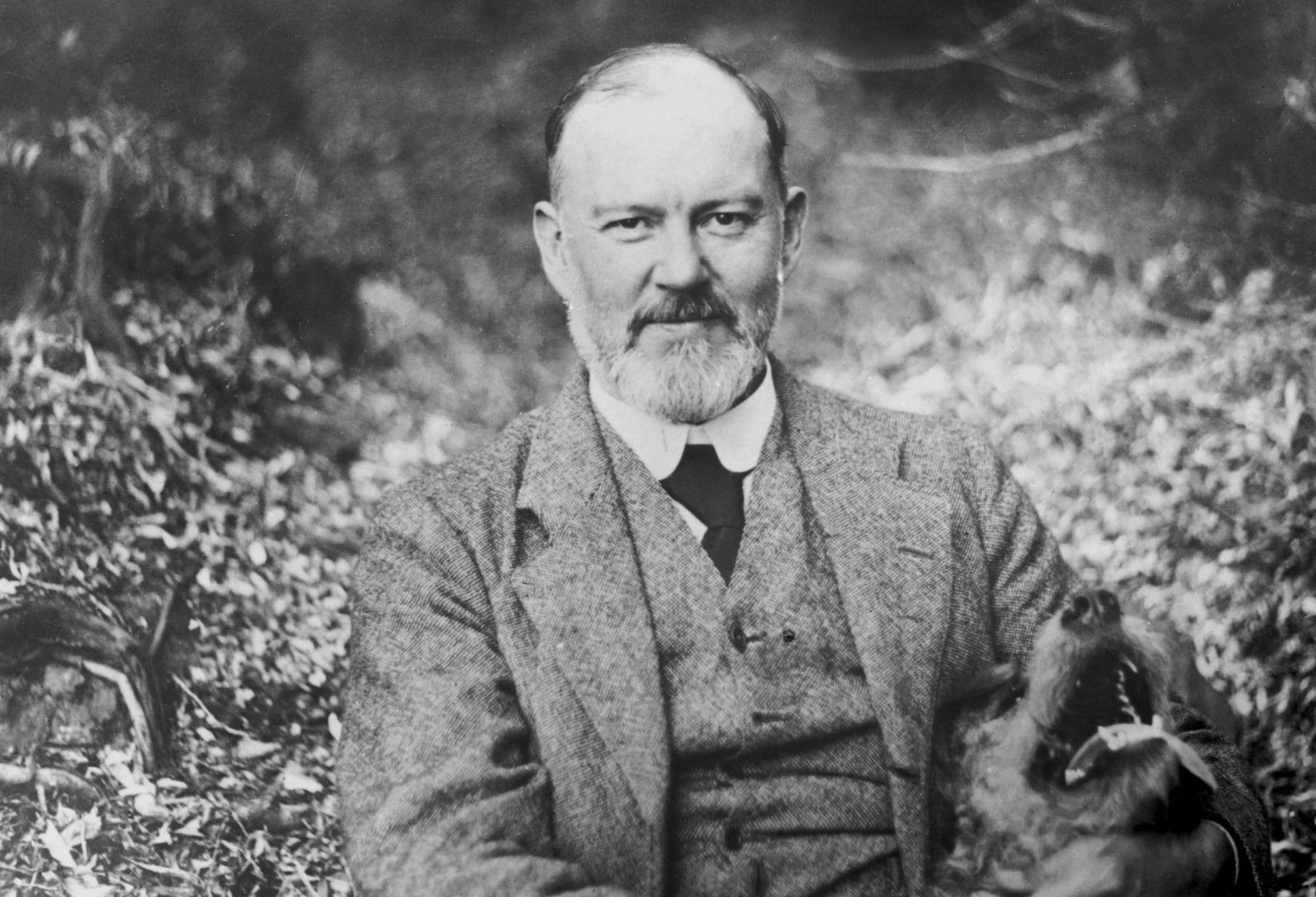 ROLLS-ROYCE A ELEKTROMOBILITA: PROROCTVÍ, SLIB A ZÁVAZEK